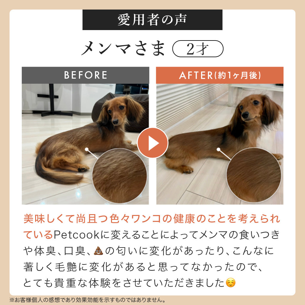 【送料無料】Petcook継続コース (鹿レシピ)