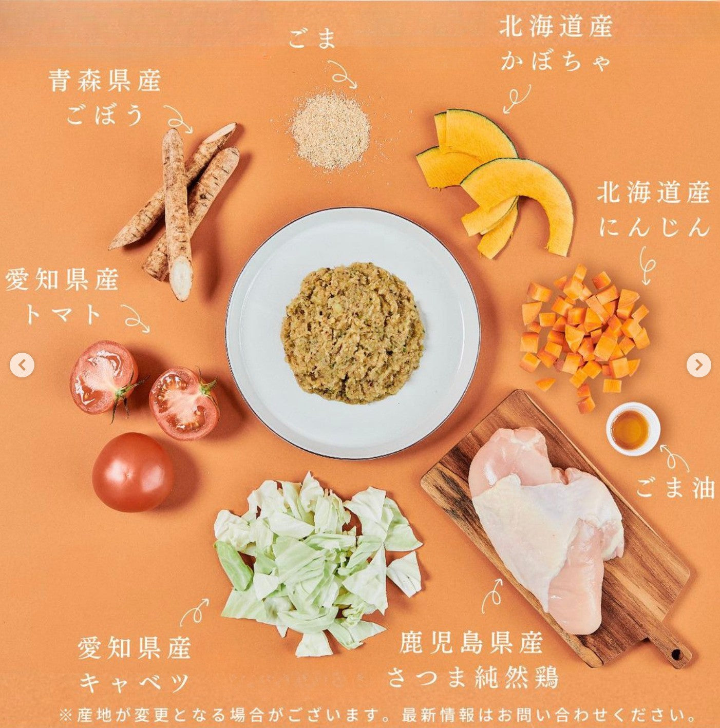 Petcook継続コース （チキンレシピ）