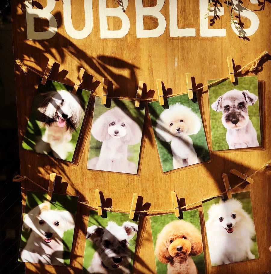 BUBBLES（バブルス）