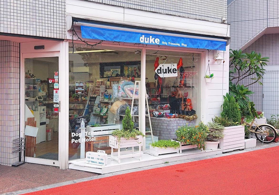 duke DogTrimming Shop