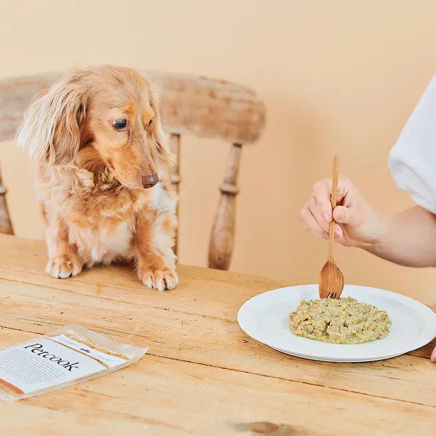 【送料無料】Petcook初回限定お試しセット
